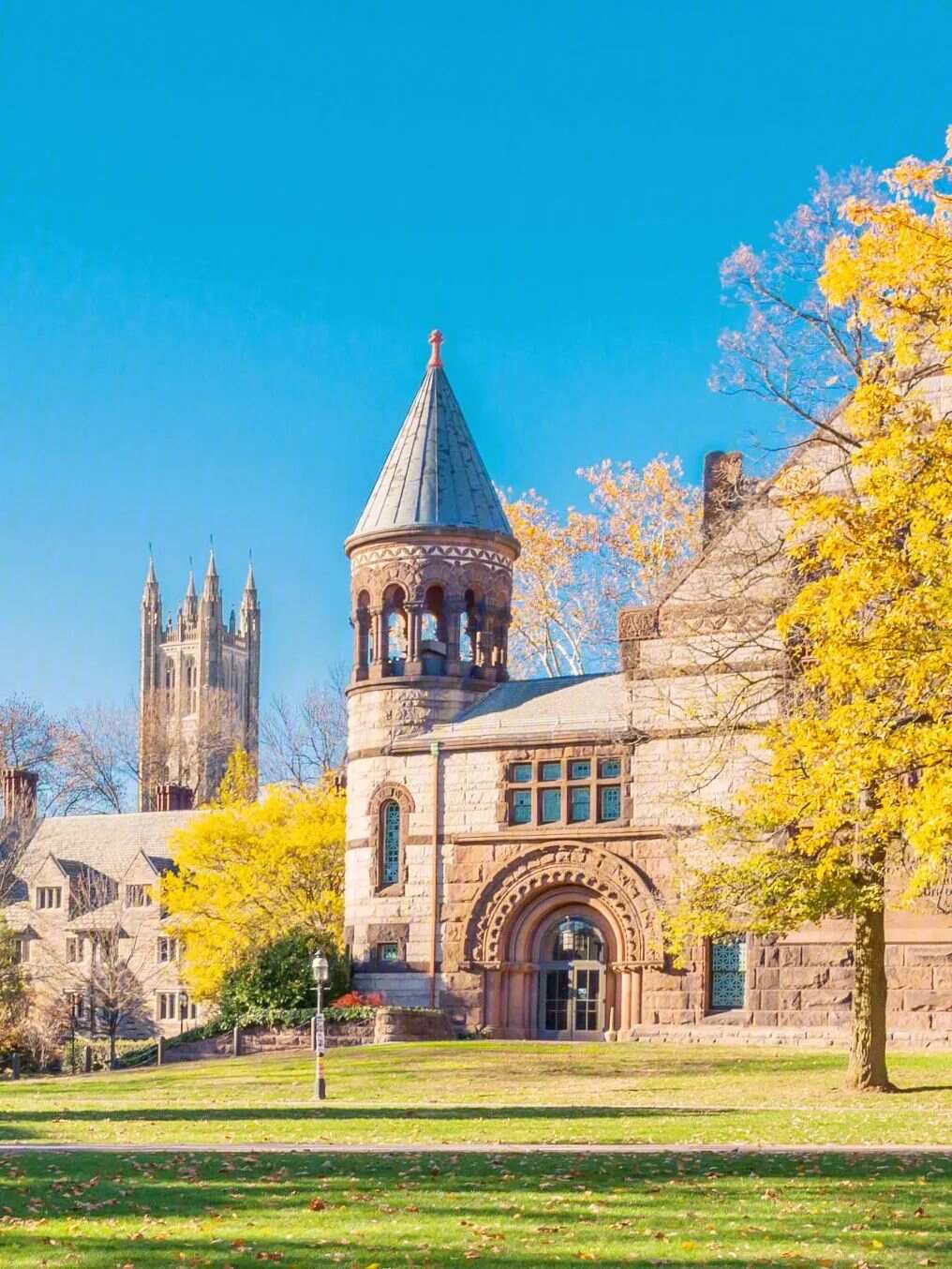 纽约州立大学石溪分校